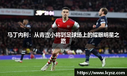马丁内利：从青涩小将到足球场上的耀眼明星之路